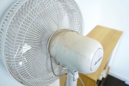 拜拜了空調，這臺風扇親測后我就沒關過